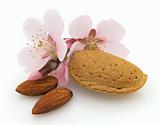 Dried almonds with pink flowers