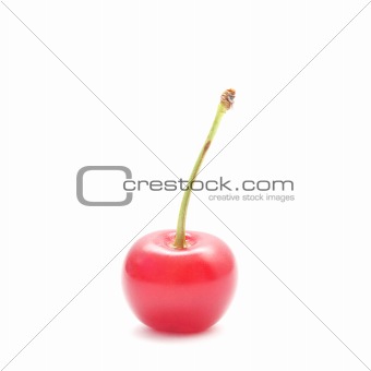 Ripe cherry isolated on white