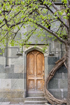 The Door And The Tree