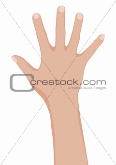 Woman hand.