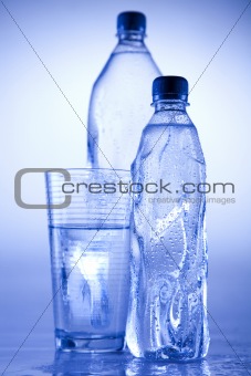 Fresh, Water bottle