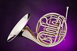 French Horn Isolated on Purple