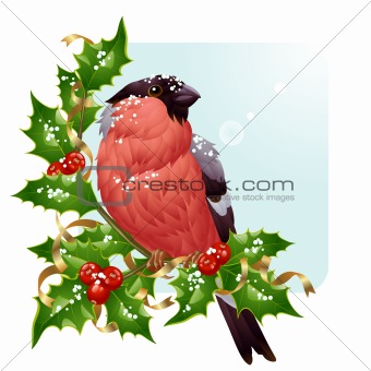 Christmas greeting card. Vector bullfinch and holly