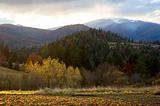 Autumn in Carpathian Mountains