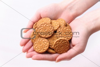 Gingerbread cookies in a hand