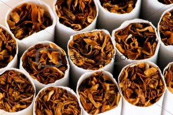 Close up of smoking cigarettes as antismoking concept