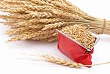 Red purse with wheat ears 