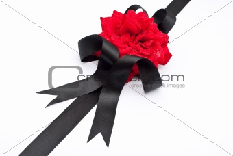 Red rose with black ribbon 