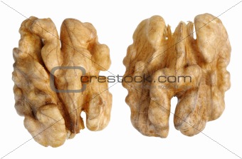 walnut (Juglans regia)