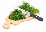 Chopping dill herb
