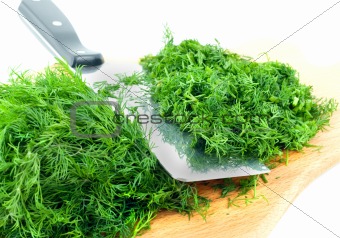 dill herb cut 