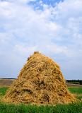 haystack hay straw