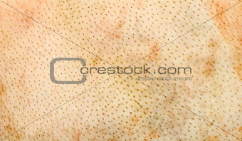 textured pig leather