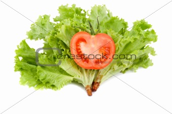 tomato in leaf salad
