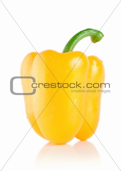 Yellow pepper isolated 