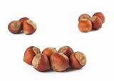 Three groups of haselnuts