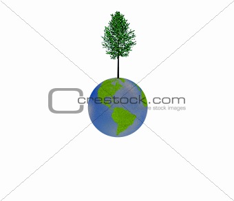 Tree on Earth