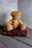 teddy bear on suitcase