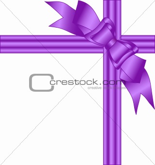 purple bow isolated on white background