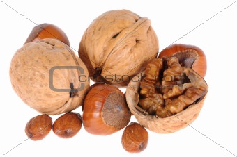 hazelnuts and walnuts