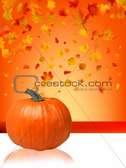 Autumn Pumpkins and leaves.