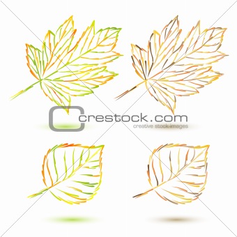 set autumn leaves