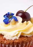 Miniature vanilla cupcake with cherry