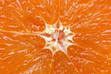 orange citrus fruit section