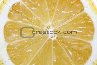 lemon fruit section