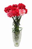 carnation flowers bouquet in vase