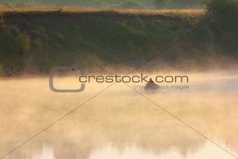 man fishing in fog