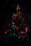 christmas fir with lightings