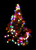 christmas fir with defocused lightings