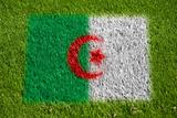 flag of algeria on grass