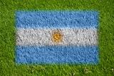 flag of argentina on grass