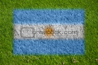 flag of argentina on grass