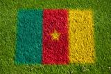 flag of cameroon on grass