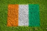 flag of cote d'ivoire on grass