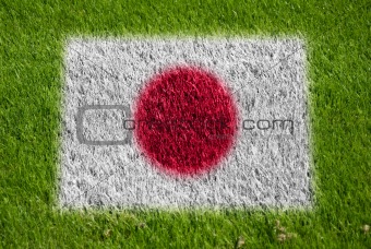 flag of japan on grass