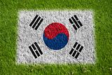 flag of korea on grass