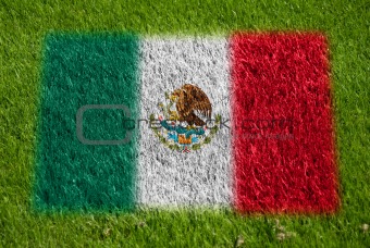 flag of mexico on grass