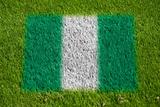flag of nigeria on grass