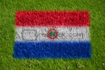 flag of paraguay on grass