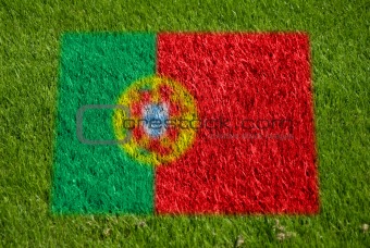flag of portugal on grass