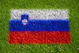 flag of slovenia on grass