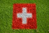 flag of switzerland on grass