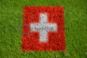 flag of switzerland on grass