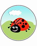 Funny Ladybug