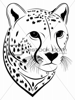 Cheetah, tattoo