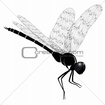 Realistic+dragonfly+tattoo+designs